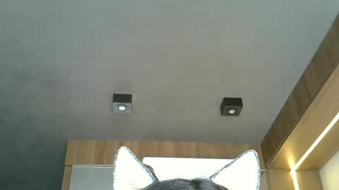 skinnykittencam online show from October 20, 5:13 pm