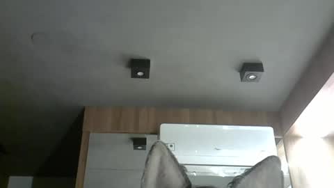 skinnykittencam online show from November 6, 4:13 am