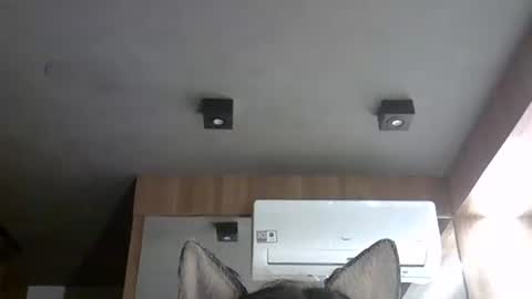 skinnykittencam online show from November 12, 7:42 am