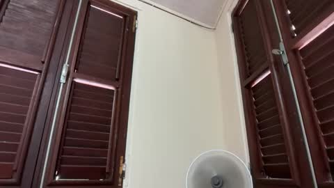 skinnymetiss online show from September 20, 6:31 pm