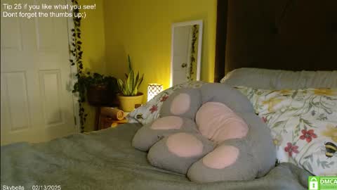 Snapshot of skybella_ chatting on February 13, 4:28 pm Skylar online show from February 13, 4:28 pm
