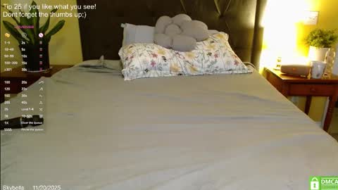 Snapshot of skybella_ chatting on November 20, 2:06 pm Skylar online show from November 20, 2:06 pm