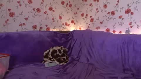 Snapshot of skysupernova chatting on February 24, 6:05 am Sky online show from February 24, 6:05 am