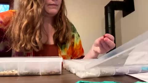 Sky Winters online show from January 1, 8:37 pm