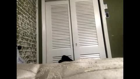 Snapshot of slangindopee chatting on January 22, 11:56 am Slangindopee online show from January 22, 11:56 am