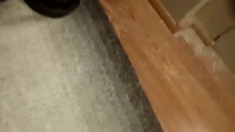 slickdog58 online show from September 19, 7:47 pm