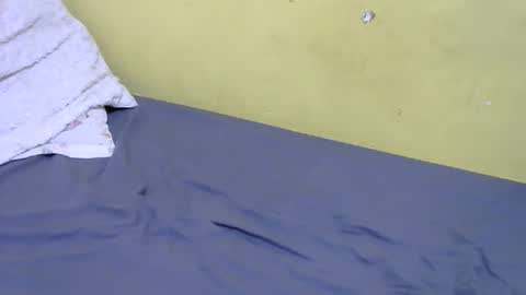 Snapshot of slim_bonny254 chatting on December 17, 9:26 am slim_bonny254 online show from December 17, 9:26 am