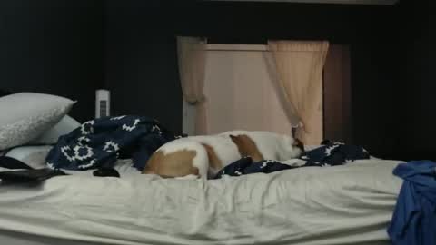 slimjp online show from February 7, 2:26 am