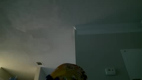 slimmmgooodiexoxo online show from September 26, 11:14 am