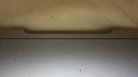 slimthick69couple online show from October 1, 4:13 pm