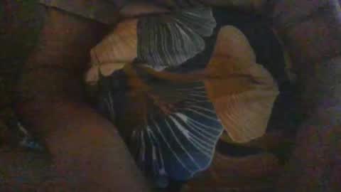 slothslav online show from December 18, 12:40 pm