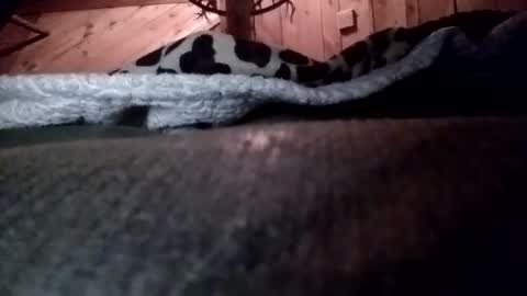 slurryyy online show from March 29, 1:38 am