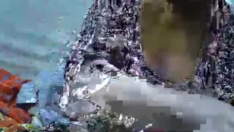 slutmeoutbb online show from September 21, 5:36 pm