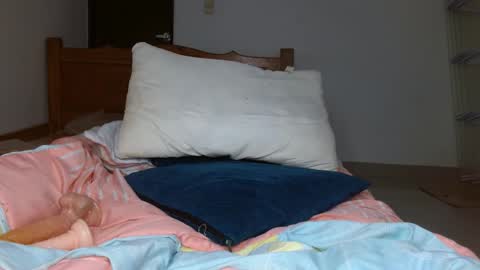 brenda online show from October 20, 4:51 pm