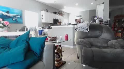 Snapshot of smallpenisbigtongue chatting on December 15, 7:31 pm Daddy online show from December 15, 7:31 pm