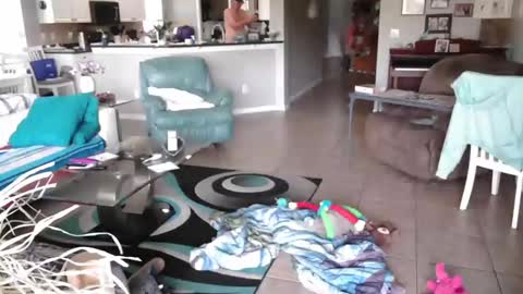 Daddy online show from March 27, 1:33 pm