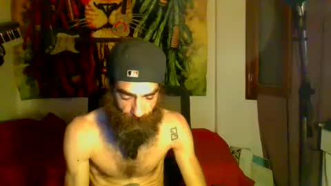 willy online show from January 12, 6:39 am