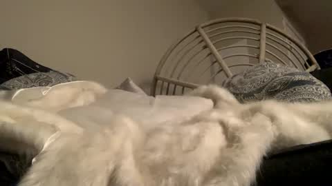 Snapshot of smoke4daddy chatting on October 2, 12:56 pm Smoke4Daddy online show from October 2, 12:56 pm