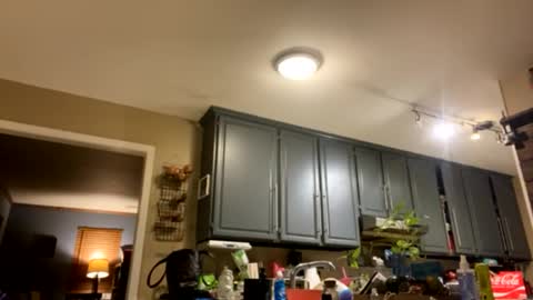 smokeymt420 online show from February 9, 9:37 am