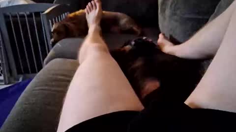 Snapshot of smokynight chatting on September 14, 11:26 pm smokynight online show from September 14, 11:26 pm