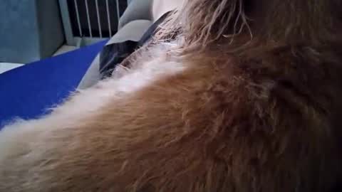 Snapshot of smokynight chatting on September 26, 8:57 pm smokynight online show from September 26, 8:57 pm