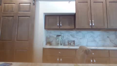 Snapshot of smoothvodka chatting on January 30, 7:48 pm Bambi--Vodka online show from January 30, 7:48 pm