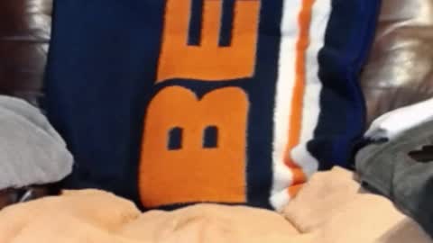 CJ online show from February 16, 2:00 pm