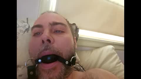 Snapshot of snarkymarks chatting on December 17, 3:51 pm snarkymarks online show from December 17, 3:51 pm