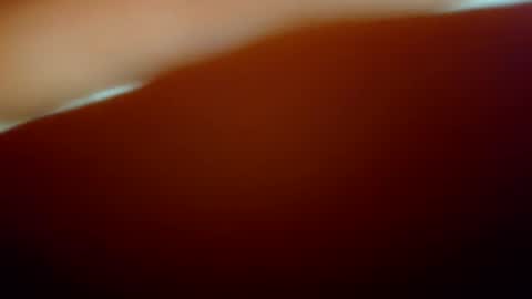 snopchat1234 online show from February 2, 6:56 am