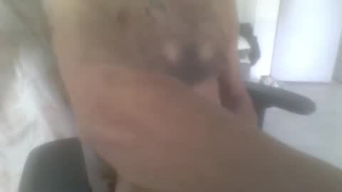 Snapshot of sodomite754 chatting on November 9, 5:06 am sodomite754 online show from November 9, 5:06 am