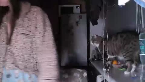 Sofi online show from December 14, 8:02 pm