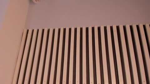 Sofie online show from November 11, 2:39 pm