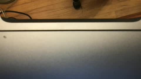 Snapshot of soflastiffyboy69 chatting on November 13, 8:19 pm soflastiffyboy69 online show from November 13, 8:19 pm