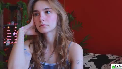 Snapshot of soft_animal chatting on November 15, 8:55 am E online show from November 15, 8:55 am