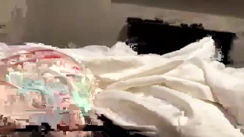 Snapshot of softslickandsweet chatting on February 4, 6:49 pm softslickandsweet online show from February 4, 6:49 pm