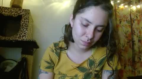 Sofia online show from November 24, 3:06 am