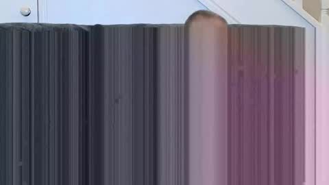 Snapshot of soloman7 chatting on November 15, 1:07 pm jeff online show from November 15, 1:07 pm