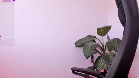 Sami Diaz   online show from January 7, 1:57 pm