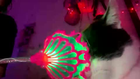 Spacegirl online show from November 8, 8:29 pm