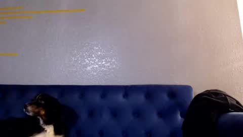 spankyspice online show from November 1, 7:10 am