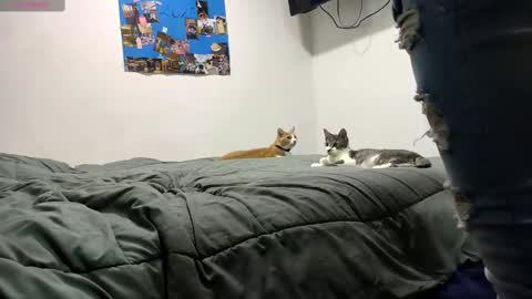 spartan_knight16 online show from September 13, 9:47 pm