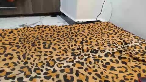 dela online show from September 13, 12:43 am