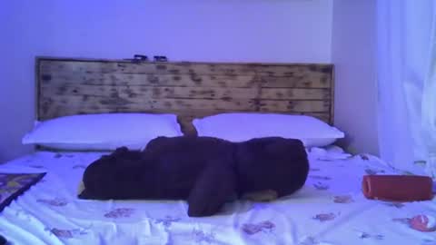 Splasher online show from October 25, 11:29 am