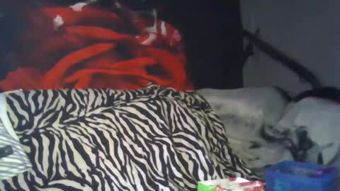 Snapshot of splashh_queen317 chatting on September 26, 8:13 pm Daddy His Splash Queen online show from September 26, 8:13 pm