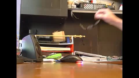 spoiler5 online show from December 3, 3:43 pm