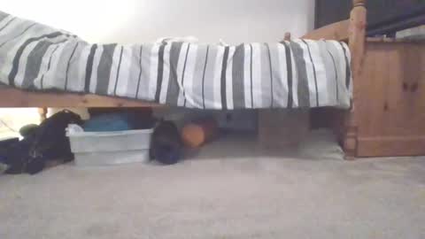 Sportyguy283 online show from March 4, 10:05 pm