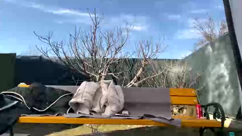 Snapshot of squirt_bunny77 chatting on March 7, 10:02 am My name is Maya Lush is activeThere are legends that in this room all your wishes can come true Private is Open online show from March 7, 10:02 am