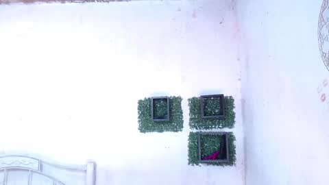 valeria online show from January 25, 12:17 am