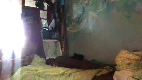 srekos38 online show from October 7, 6:32 am