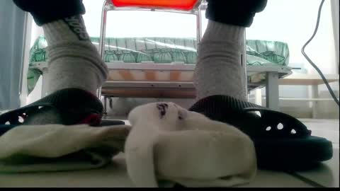 Snapshot of ssenzo chatting on December 10, 9:54 pm ssenzo online show from December 10, 9:54 pm